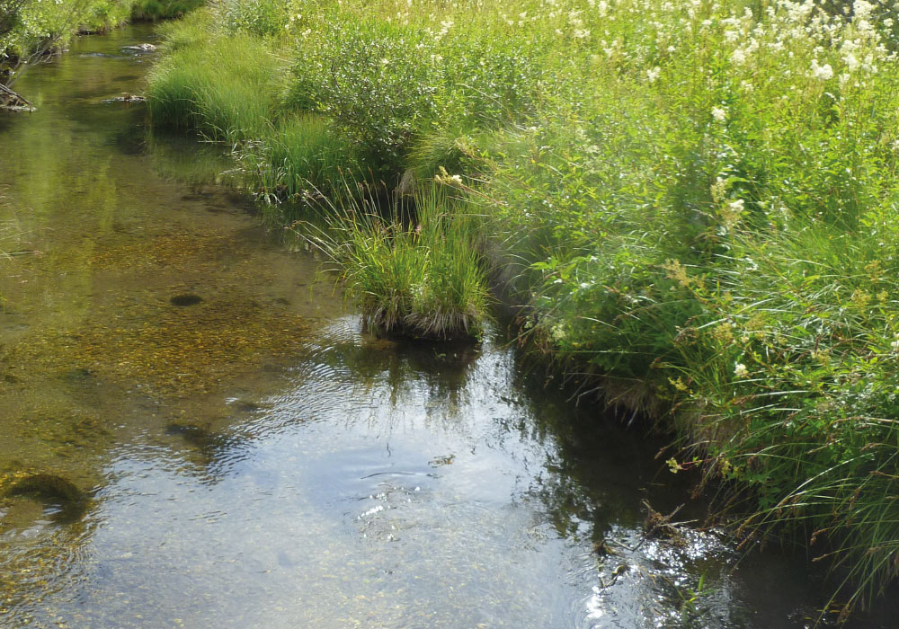 Clarée rivière Natura 2000