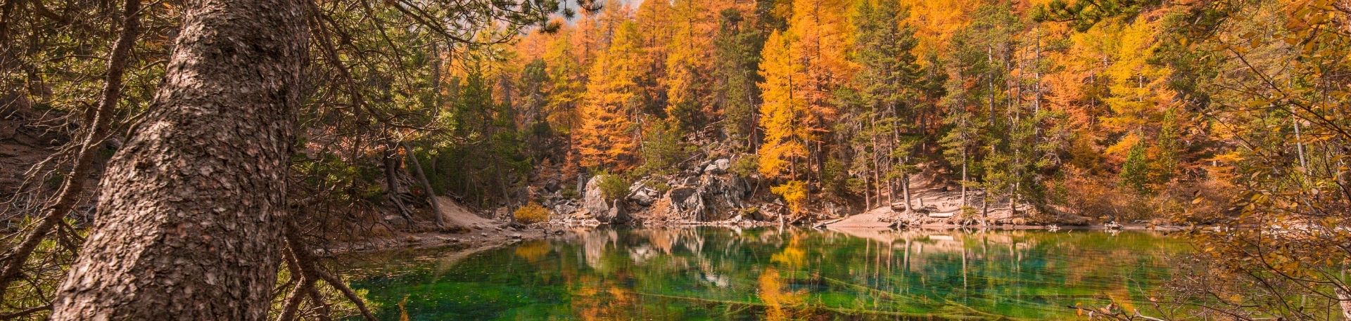 lac vert automne clarée